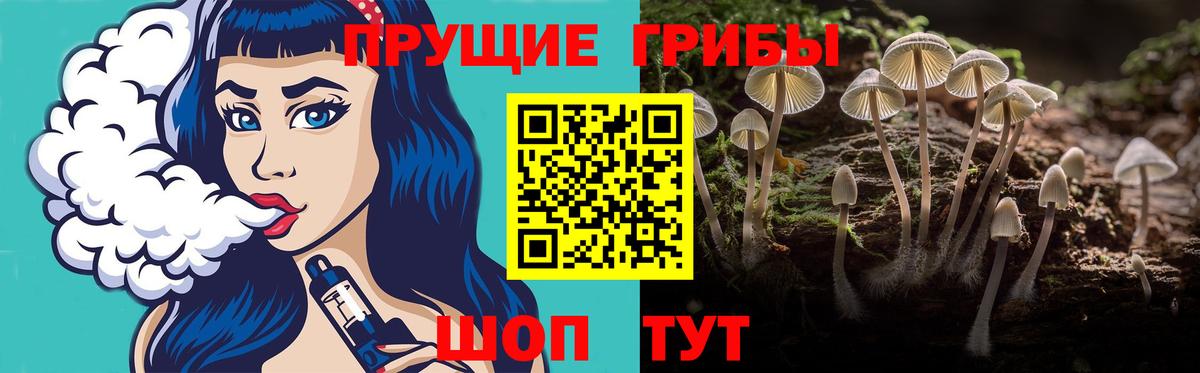 Топки  Псилоцибиновые грибы GOLDEN TEACHER  Вход с VPN 